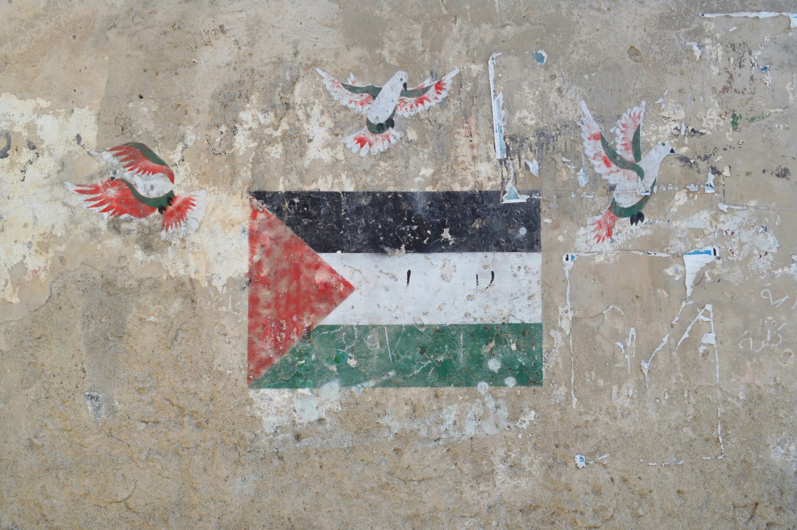 Palestine Flag