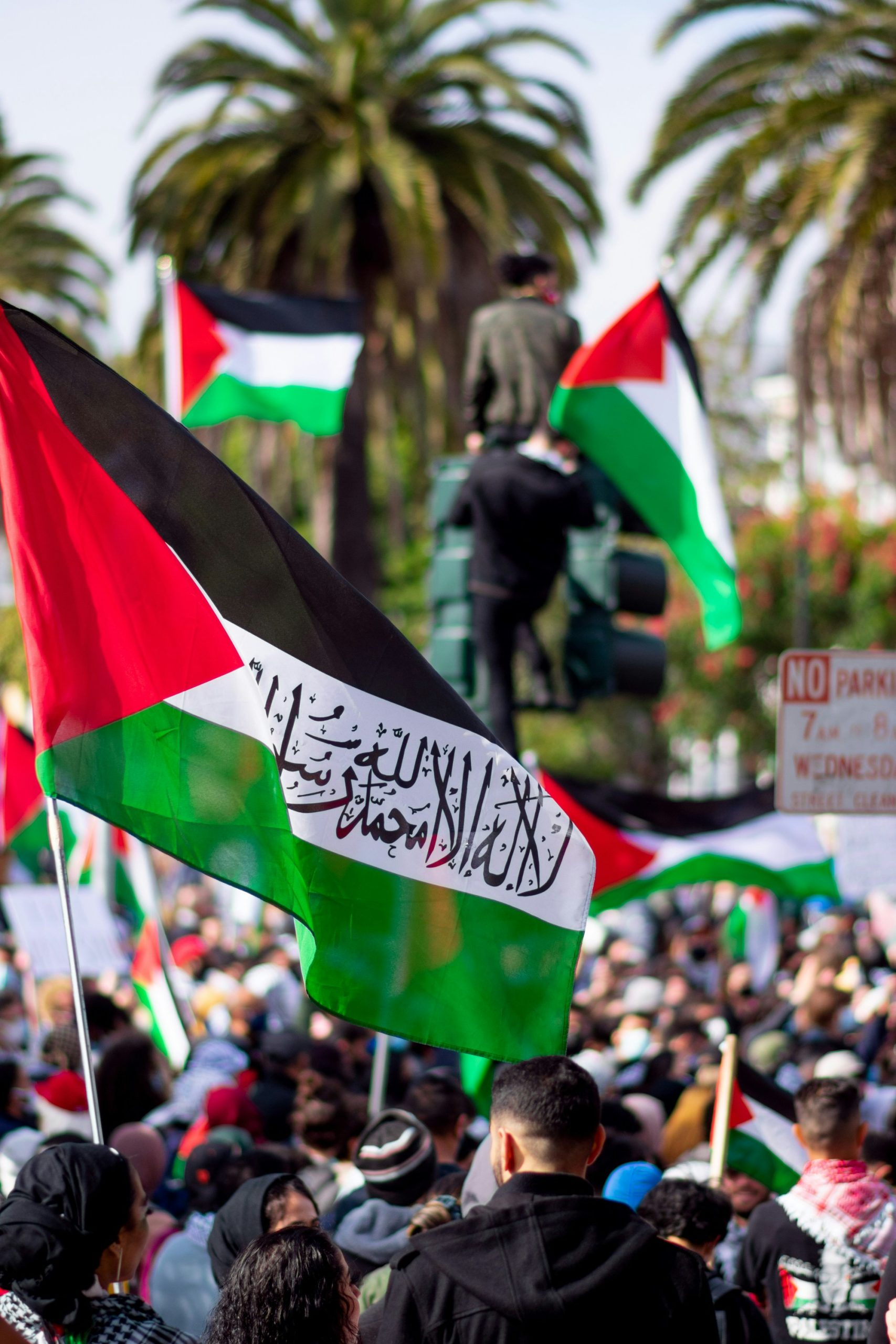 Crafting Captivating Headlines: Your awesome post title goes here Palestine Flag